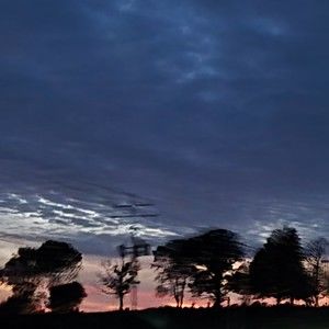 Meet your Posher, Tricia